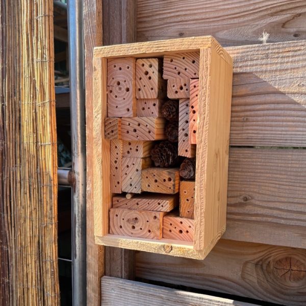 Bijenhotel voor in je tuin of op je balkon